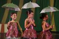 Mini Stars Circus 2A  114